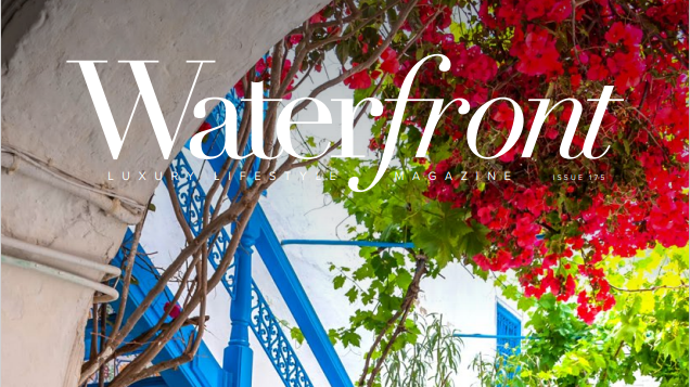 Brow Spa Ritual Featured in Waterfront Magazine's Editor's Choice!